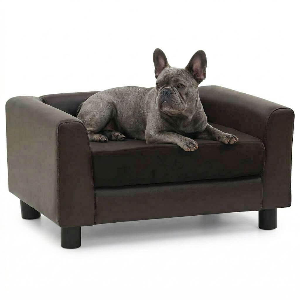 Dog lying on a brown dog saofa with a white background