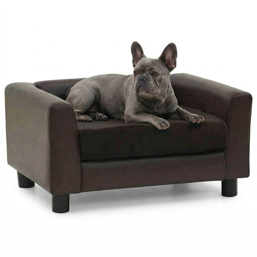 Dog lying on a brown dog saofa with a white background