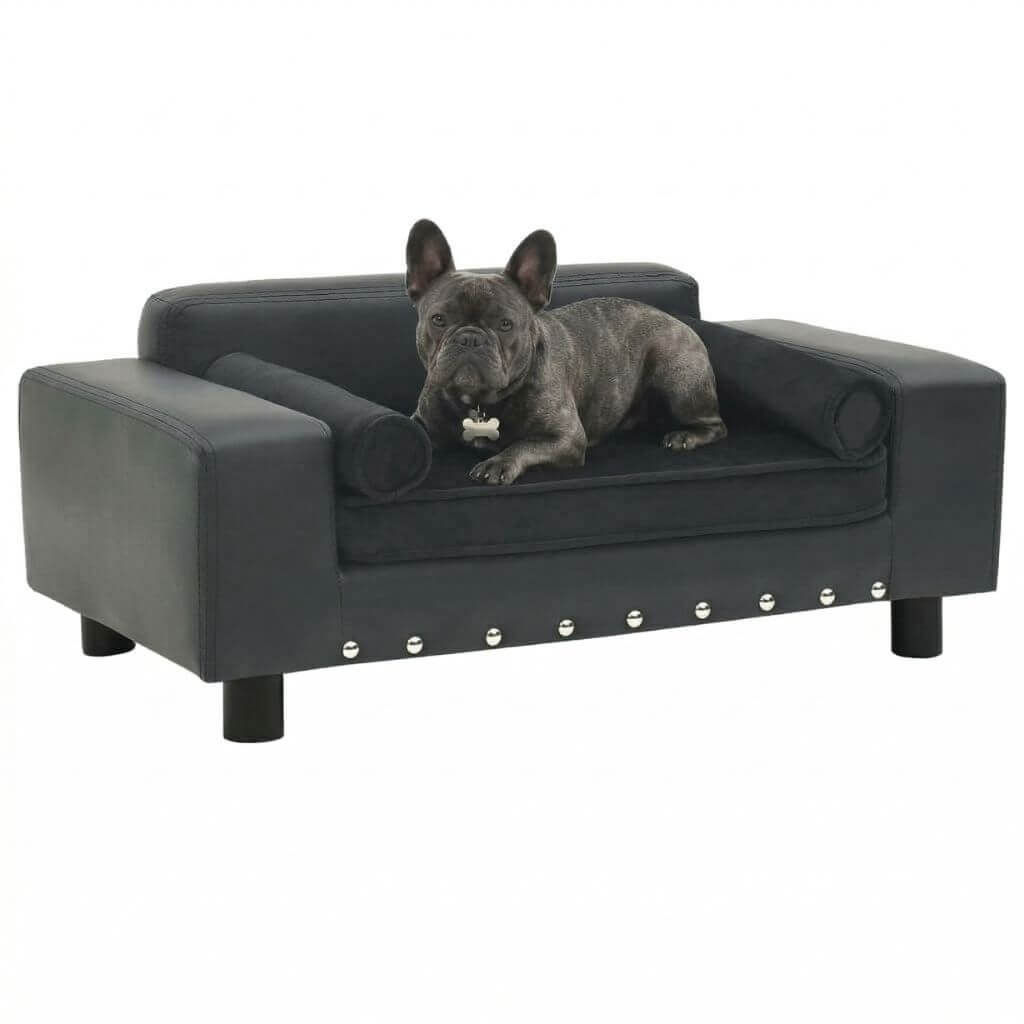 Dog lying on a dark grey dog sofa with studded details on a white background