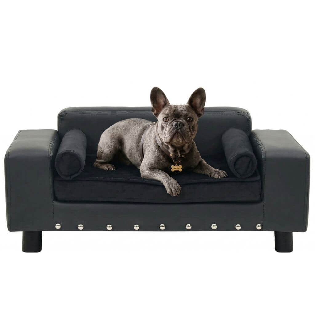 Dog lying on a black dog sofa with a white background