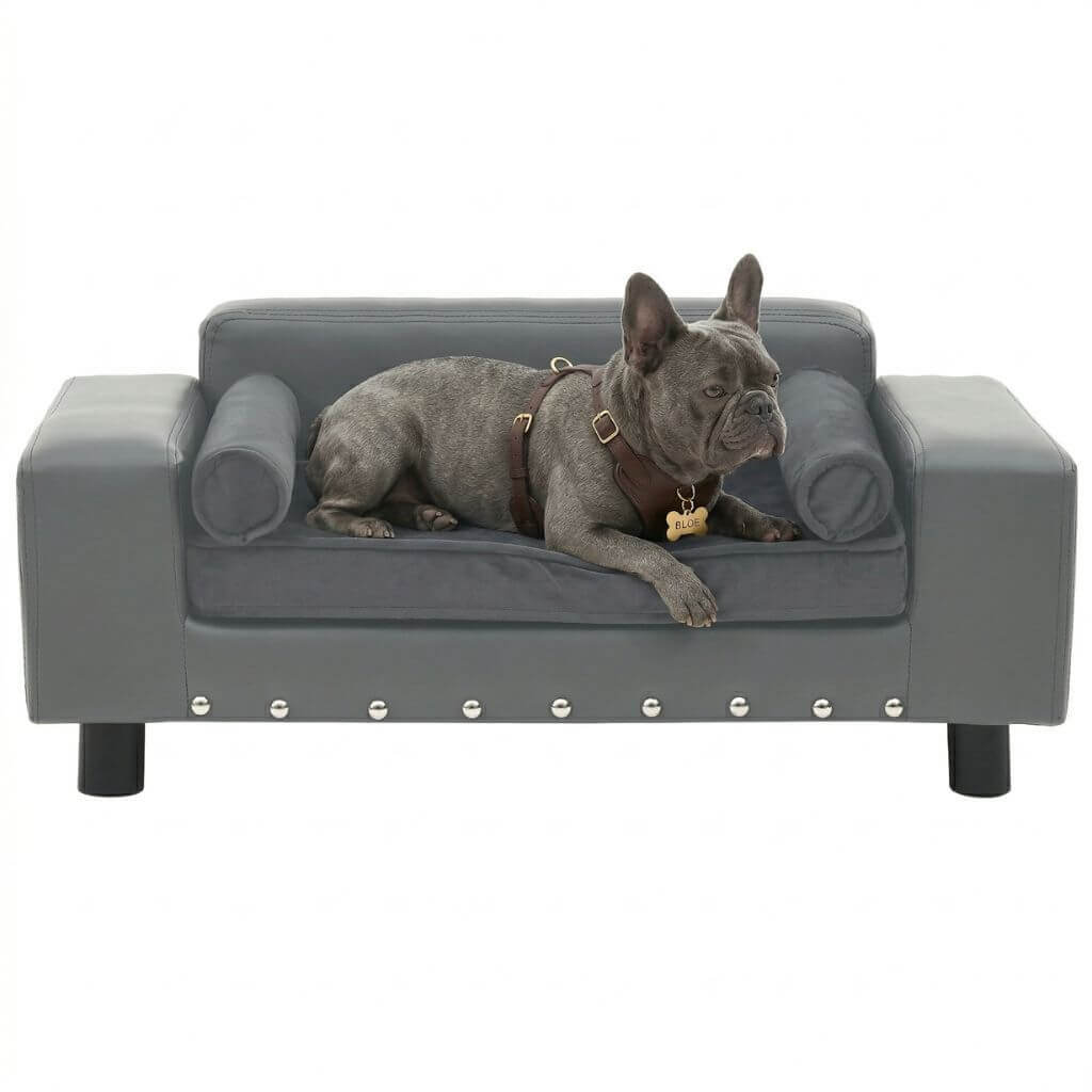 Dog lying on a gray dog sofa with a white background