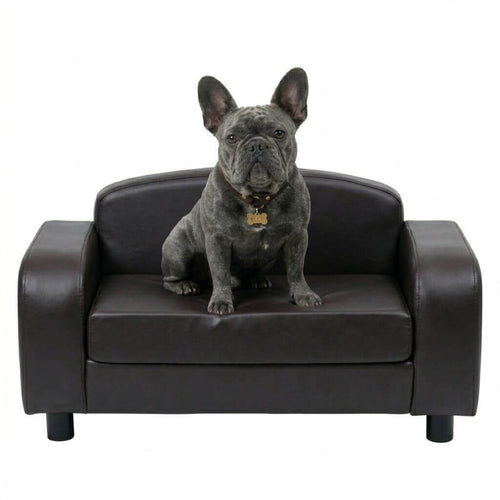 Dog sitting on a small brown leather sofa against a white background