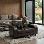 Dog sitting on a brown leather dog sofa in a modern living room.