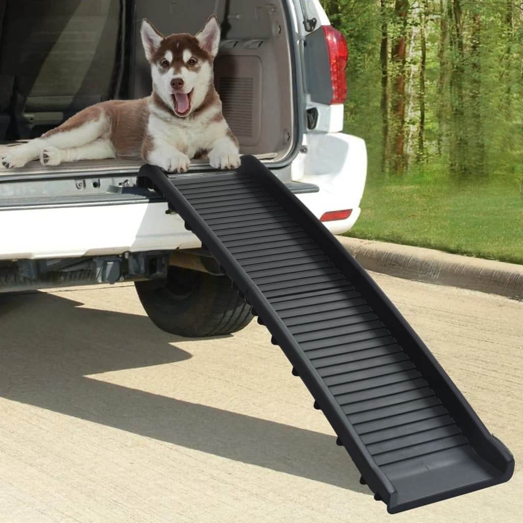 Dog using a dog ramp to get into an open car trunk with a natural background.