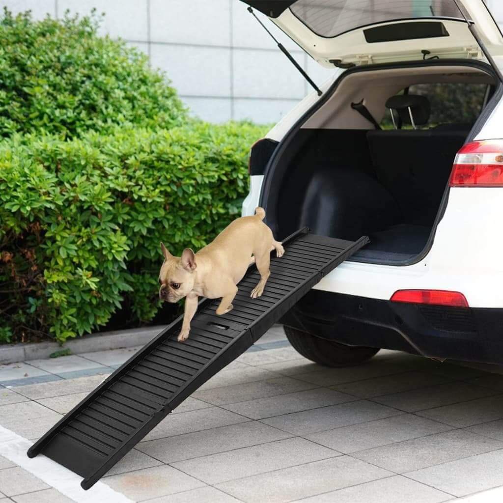 Dog using a black dog ramp to enter a white car outdoors.