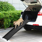 Dog using a black dog ramp to enter a white car outdoors.