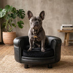 Dog sitting on a black pet sofa in a cozy room with a plant and books in the background.