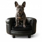 Dog sitting on a small black leather round dog sofa with a white background