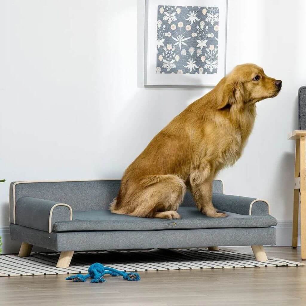Dog sitting on a gray dog sofa pet bed in a room with a floral picture frame on the wall.