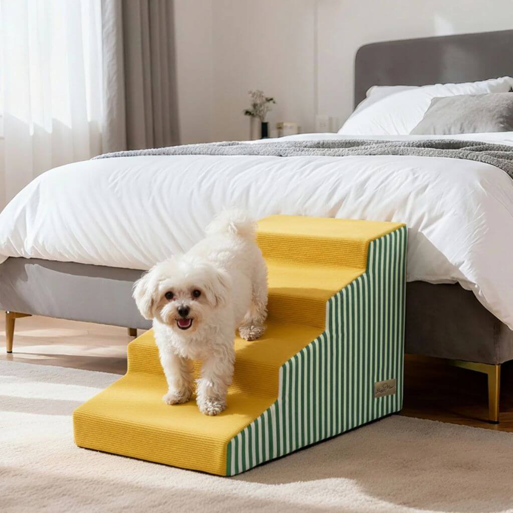 Small white dog on a yellow and green pet ramp in a bedroom.